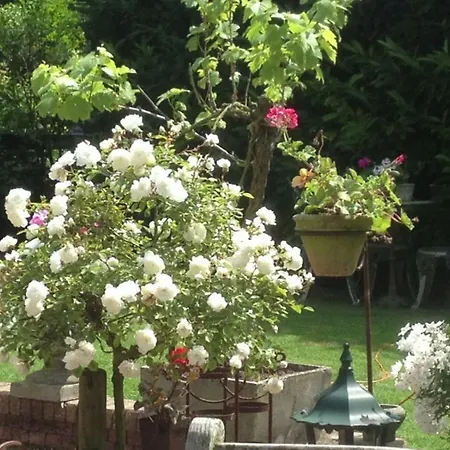 Bungalow Prinsenhof: Beachside Retreat With Private Garden Homestay *
