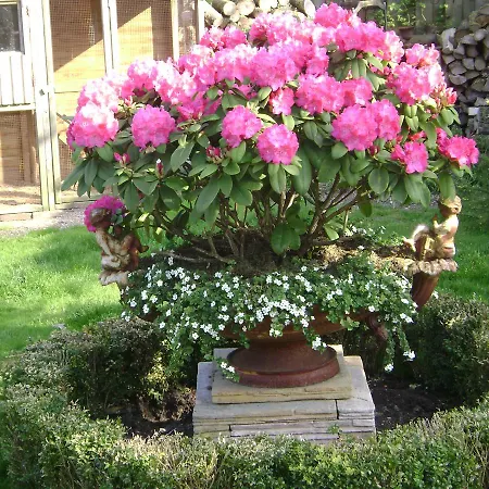 Homestay Bungalow Prinsenhof: Beachside Retreat With Private Garden Ouddorp